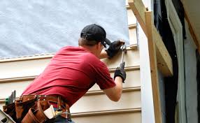 Best Historical Building Siding Restoration  in Port Vue, PA